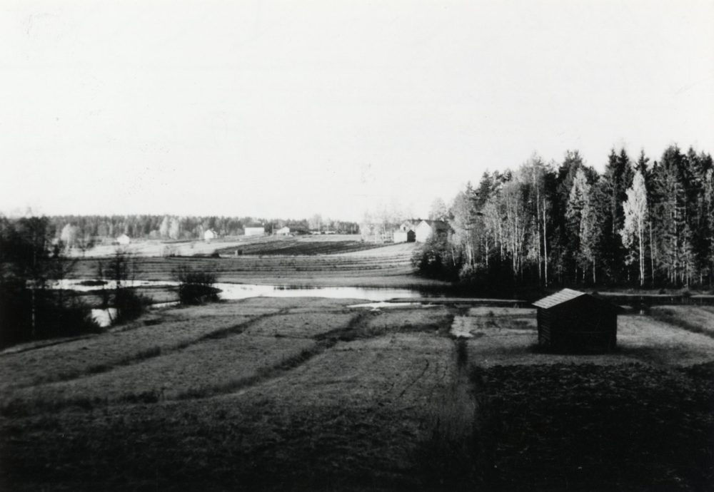 Kohteen Ihamaa kuva